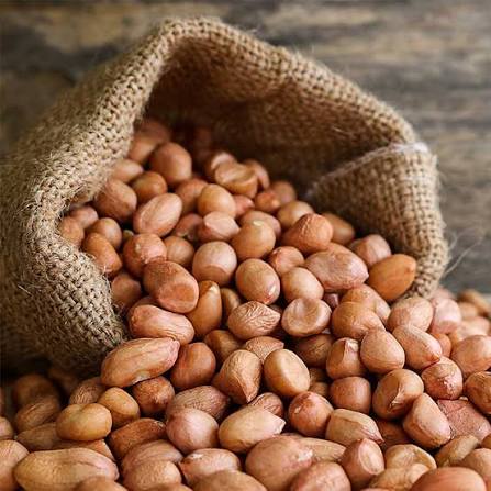 Groundnuts